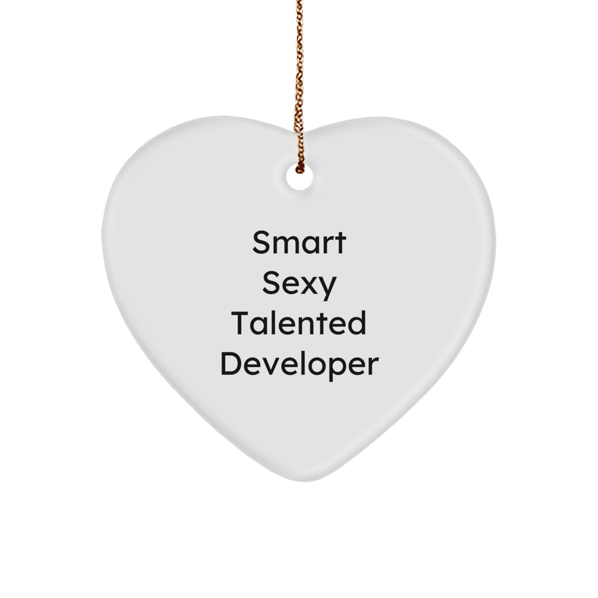 Funny Developer Heart Ornaments for Gifts from Friends - Smart Sexy Talented Developer Quote - Christmas Unique Gifts for Developer - Image 1