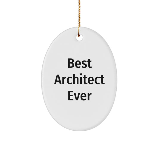 Funny Best Architect Ever Oval Ornament Gifts from Friends to Coworkers this Christmas - Image 1