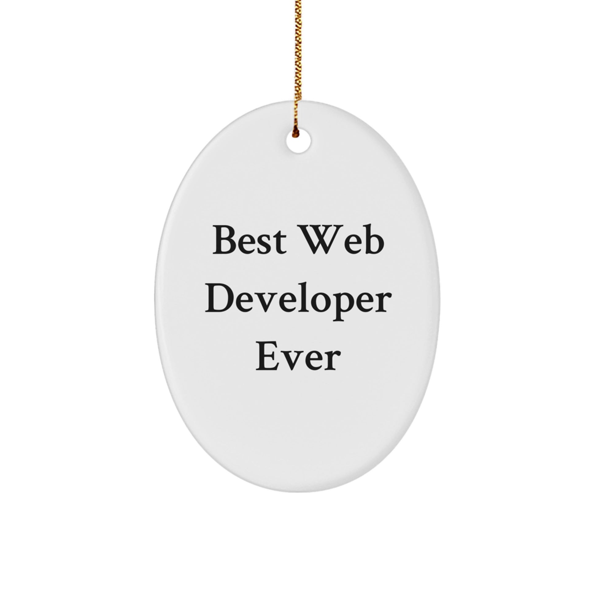 Funny Web Developer Gifts for Men from Friends - Oval Ornament Best \ - Image 1