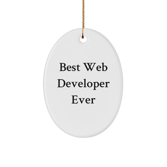 Funny Web Developer Gifts for Men from Friends - Oval Ornament Best \ - Image 1