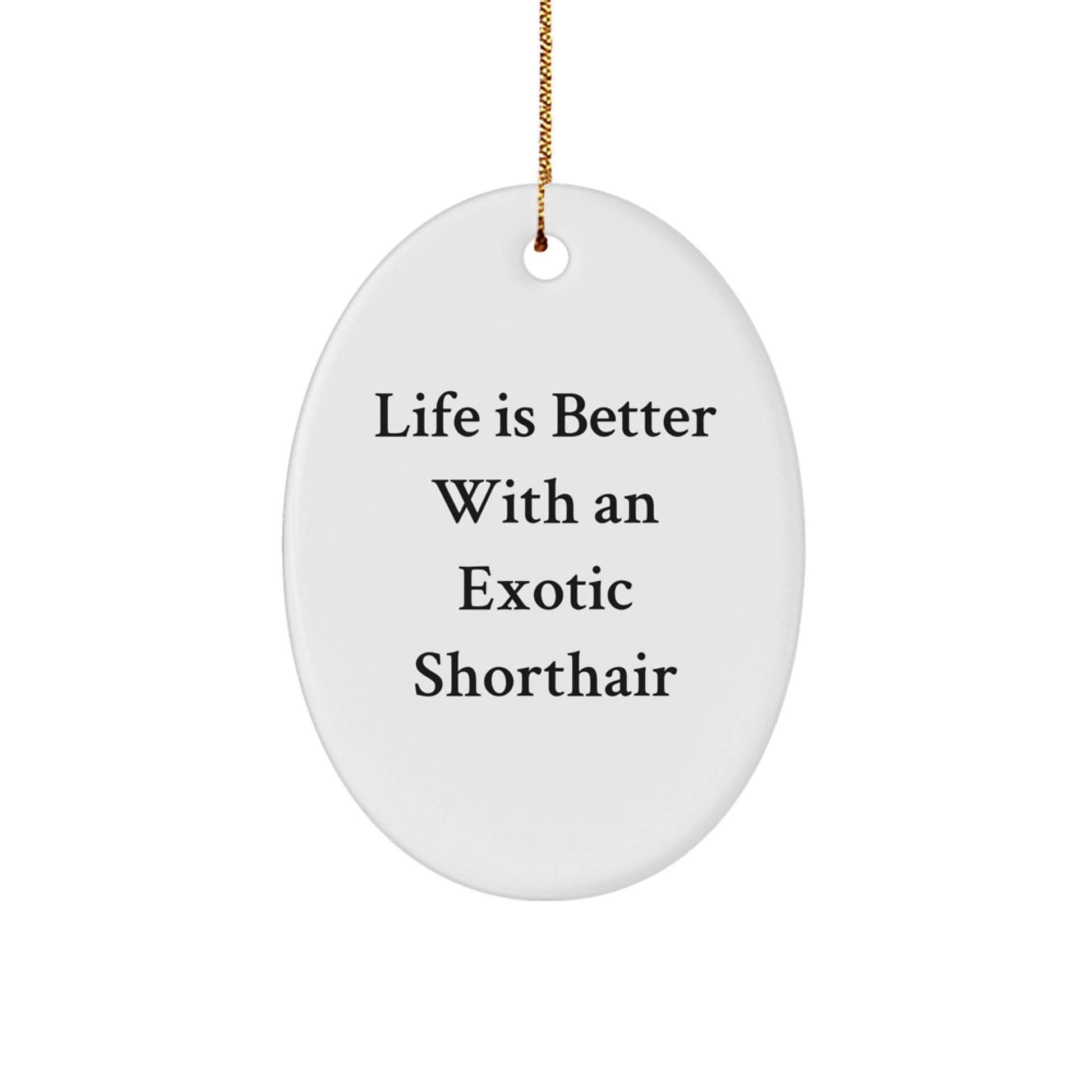 Exotic Shorthair Cat Gifts for Men, Funny 'Life Is Better With An Exotic Shorthair' Oval Ornament for Christmas, Gifts from Family, Gifts for Exotic Shorthair Cat Enthusiasts - Image 1