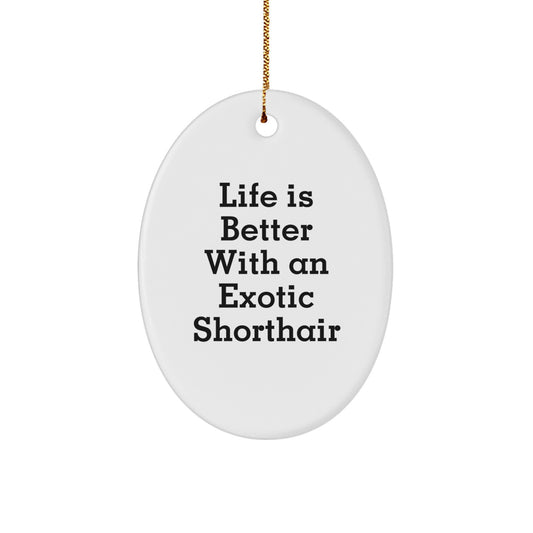 Exotic Shorthair Cat Gifts, Life Is Better With An Exotic Shorthair, Oval Ornament, Christmas Unique Gifts from Family, Gifts for Exotic Shorthair Cat Lovers - Image 1