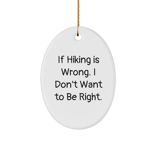 Hiking Memorable Gifts from Friends for Men, Funny Oval Ornament with 'If Hiking Is Wrong. I Don't Want To Be Right.' Quote, Unique Christmas Memorable Present for Outdoor Enthusiasts - Image 1