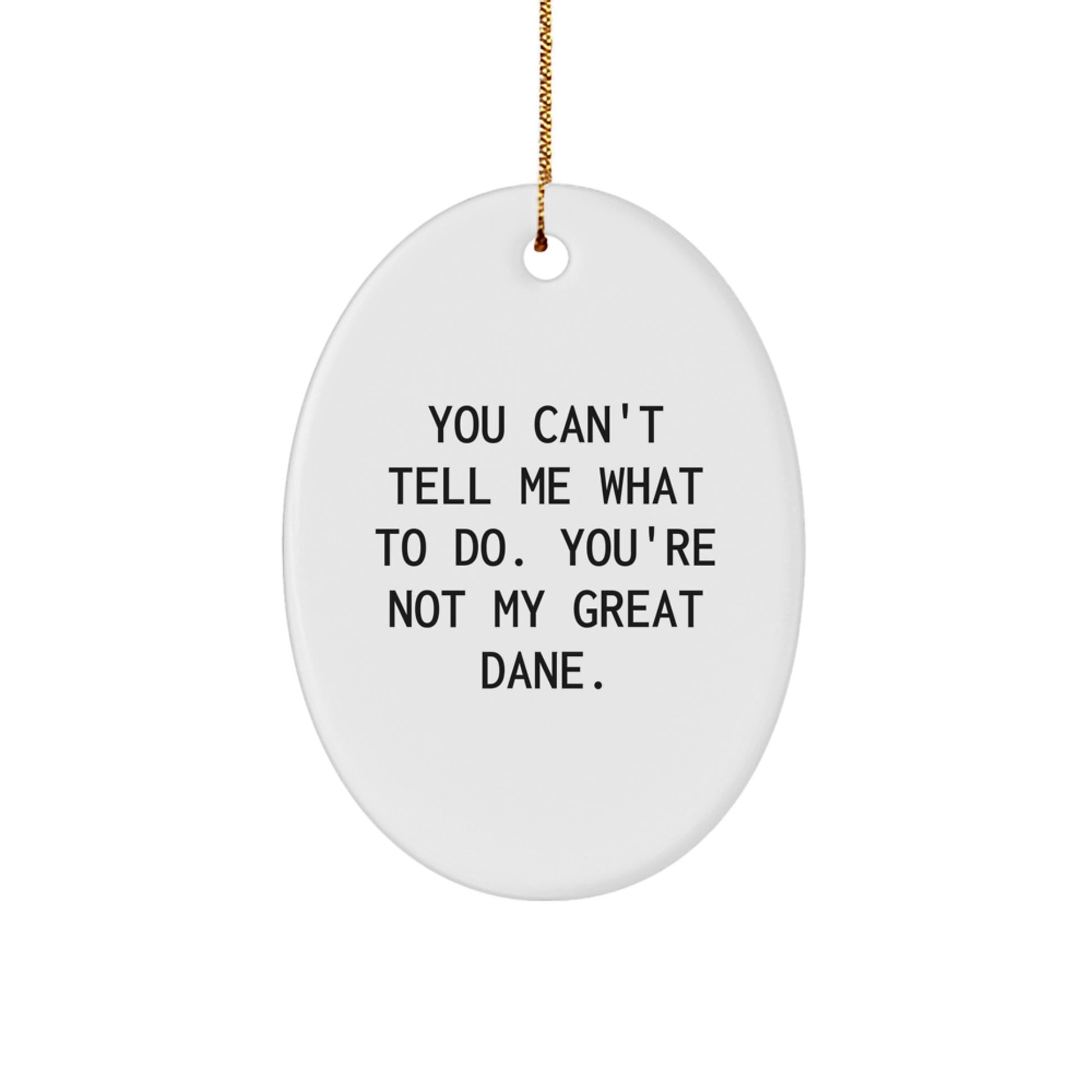 Funny Great Dane Dog Oval Ornament Gifts from Friends and Family for Christmas - Image 1