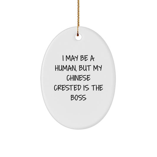 Funny Chinese Crested Dog Oval Ornament Gifts for Friends, Coworkers, and Family from Men, Women, and Children - I May Be A Human, But My Chinese Crested Is The Boss - Image 1