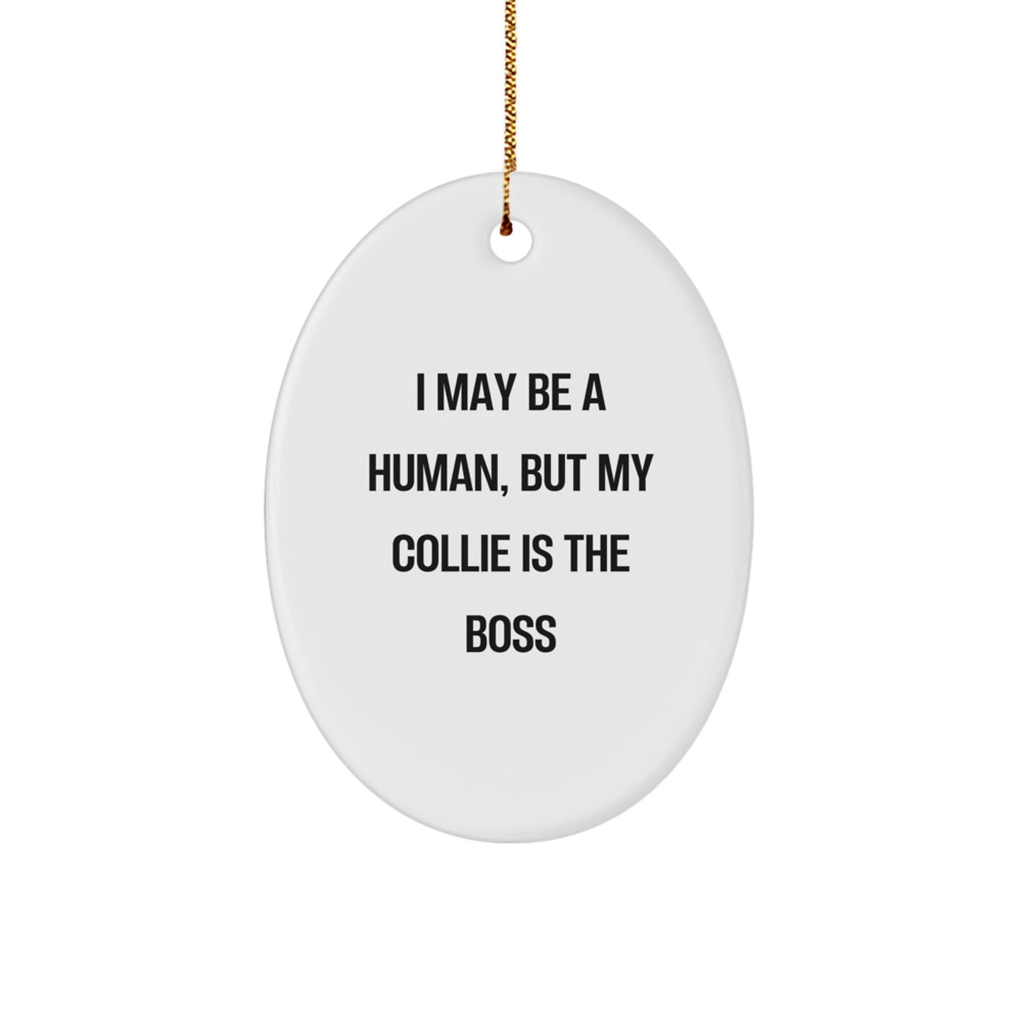 Funny Collie Dog Gifts for Men - 'I May Be A Human, But My Collie Is The Boss' Oval Ornament, White, Christmas Unique Gifts from Family - Image 1