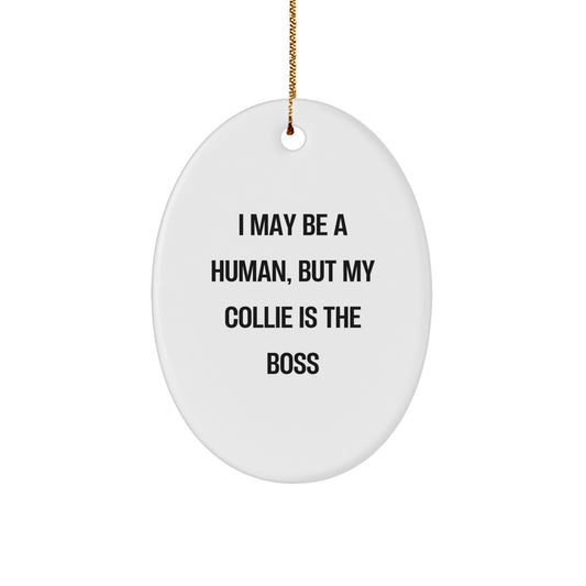 Funny Collie Dog Gifts for Men - 'I May Be A Human, But My Collie Is The Boss' Oval Ornament, White, Christmas Unique Gifts from Family - Image 1