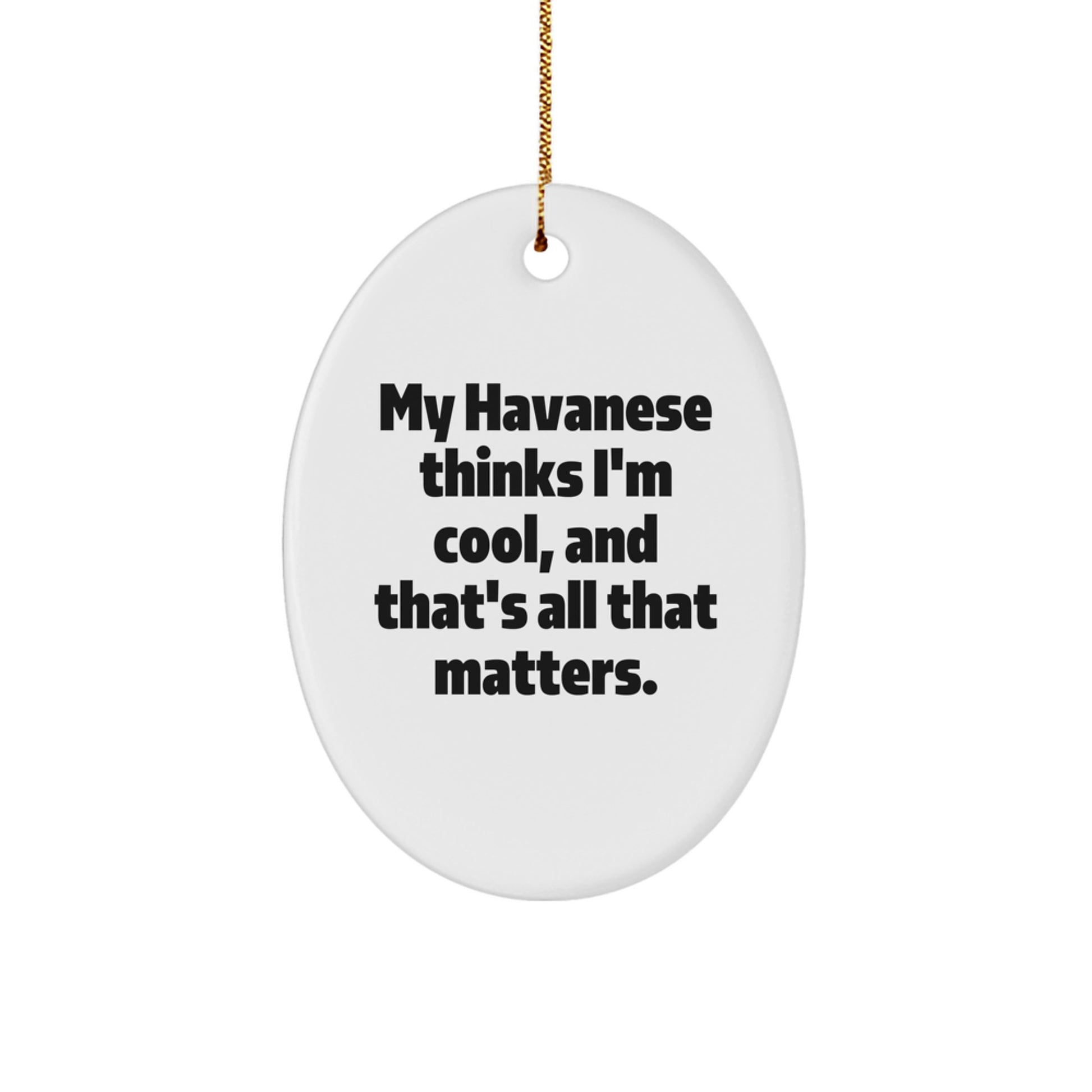 Havanese Dog Lover Gifts, Funny Quote Oval Ornament, Christmas Unique Presents from Friends, Family, Coworkers - Image 1