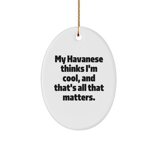 Havanese Dog Lover Gifts, Funny Quote Oval Ornament, Christmas Unique Presents from Friends, Family, Coworkers - Image 1