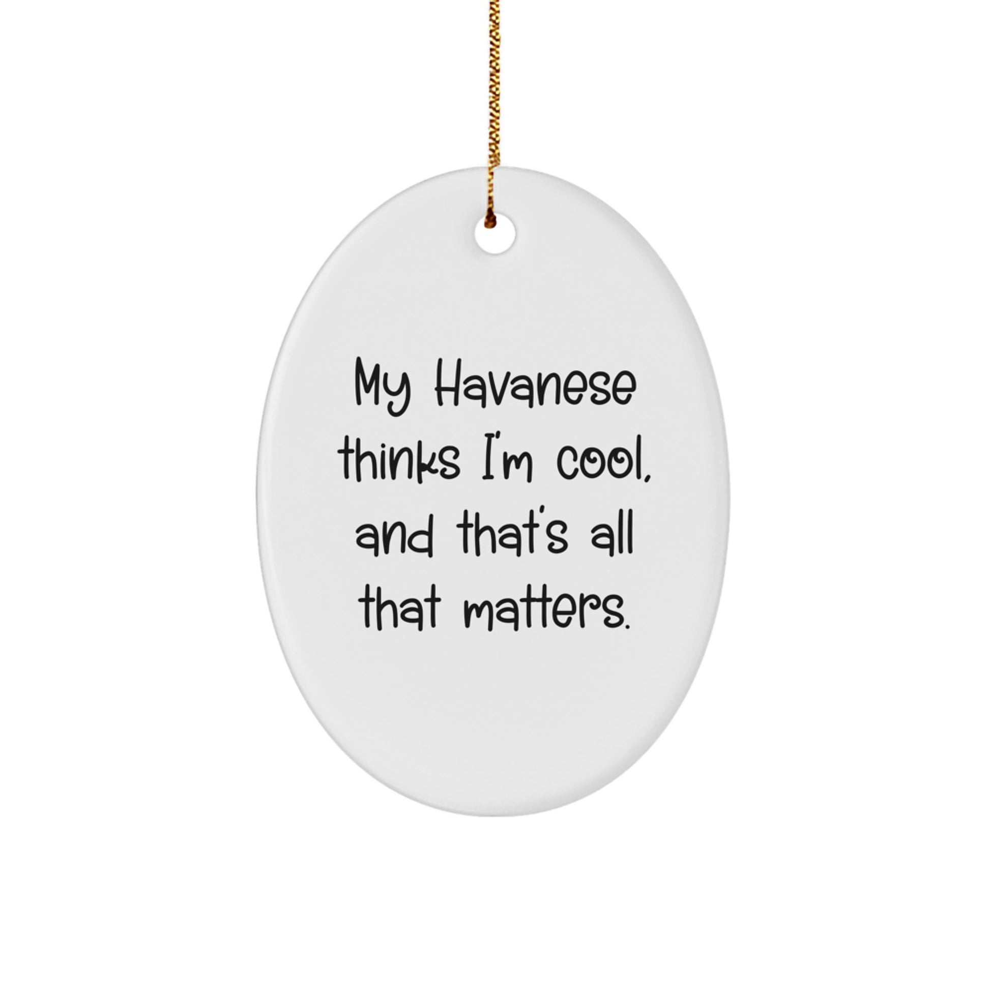 Havanese Dog Gifts from Friends - Oval Ornament with Funny Quote, 'My Havanese Thinks I'm Cool, And That's All That Matters.' for Christmas - Image 1