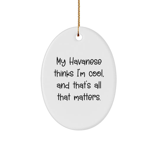 Havanese Dog Gifts from Friends - Oval Ornament with Funny Quote, 'My Havanese Thinks I'm Cool, And That's All That Matters.' for Christmas - Image 1