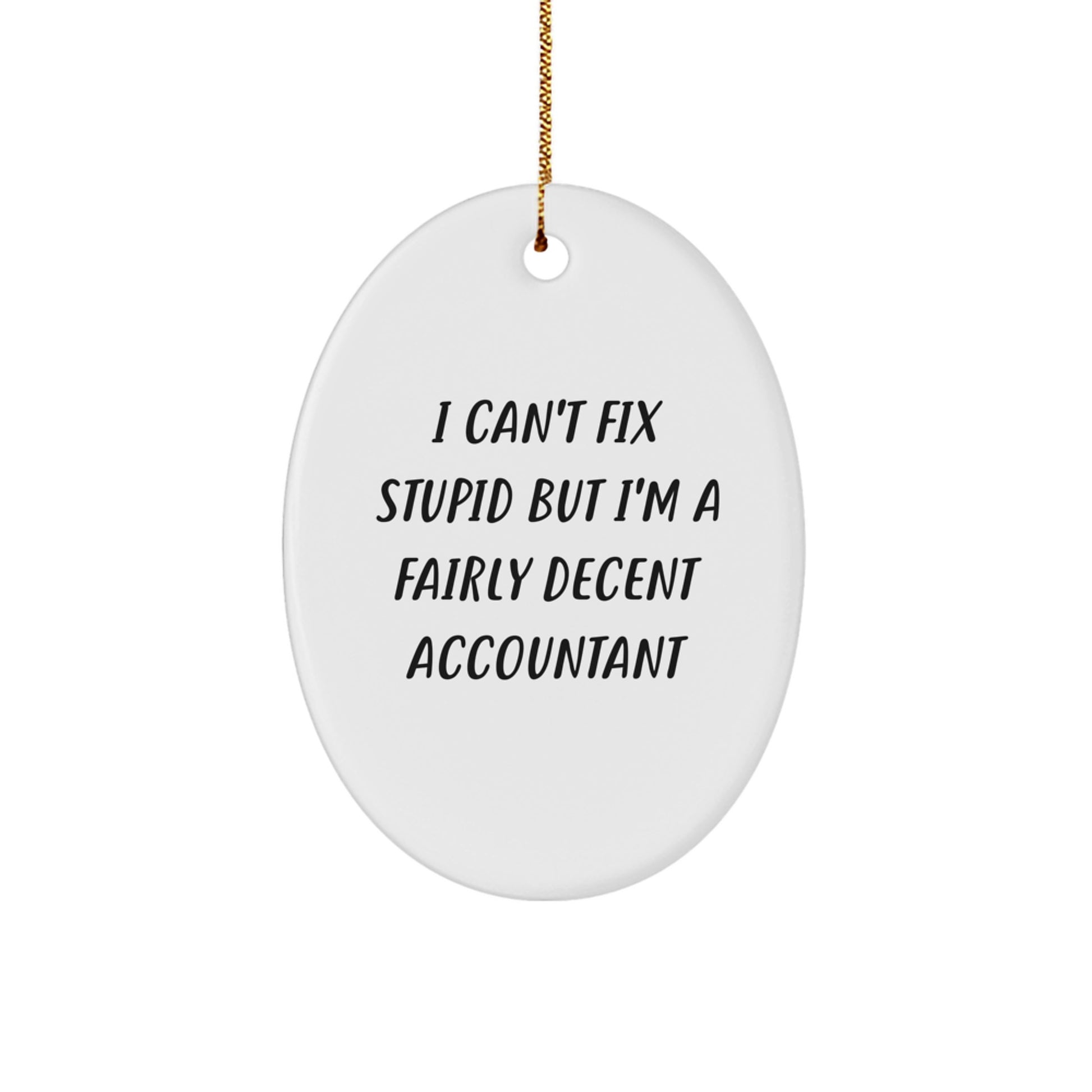 Funny Accountant Oval Ornament Gifts for Men from Friends, I Can't Fix Stupid But I'm A Fairly Decent Accountant, Unique Christmas Decorations - Image 1