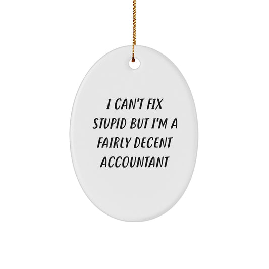 Funny Accountant Oval Ornament Gifts for Men from Friends, I Can't Fix Stupid But I'm A Fairly Decent Accountant, Unique Christmas Decorations - Image 1
