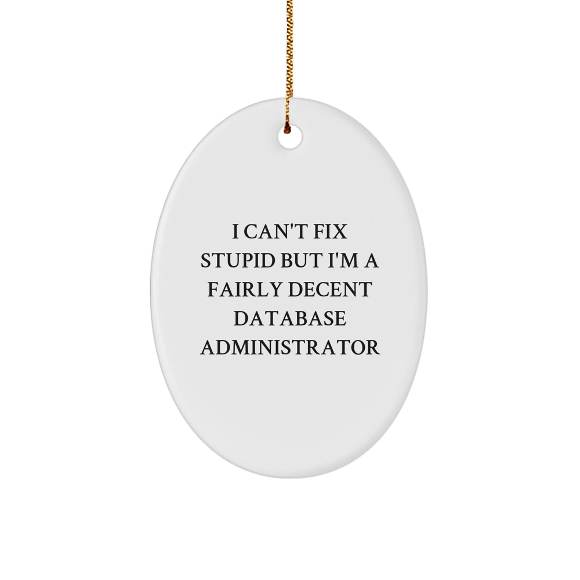 Funny Database Administrator Gifts for Men, Oval Ornament with Encouraging Quote, Gifts from Friends and Family - Image 1