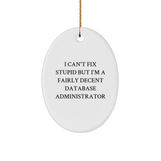 Funny Database Administrator Gifts for Men, Oval Ornament with Encouraging Quote, Gifts from Friends and Family - Image 1