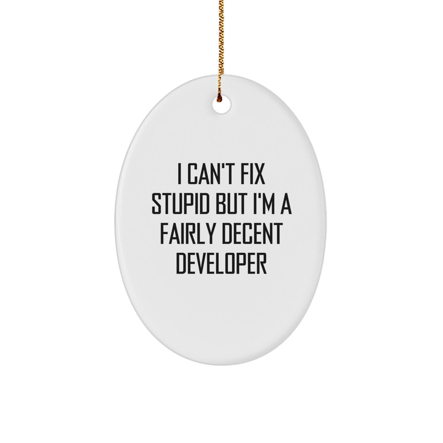 Funny Developer Gifts for the Oval Ornament Lover - 'I Can't Fix Stupid But I'm A Fairly Decent Developer' Humorous Oval Ornament, Gifts from Men, Women, Friends, Family to Developer, Men, Women - Image 1