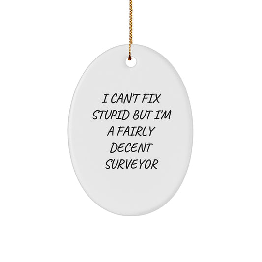 Funny Surveyor Gifts - Oval Ornament for Surveyors - Christmas Unique Gifts from Friends for Surveyor - Image 1
