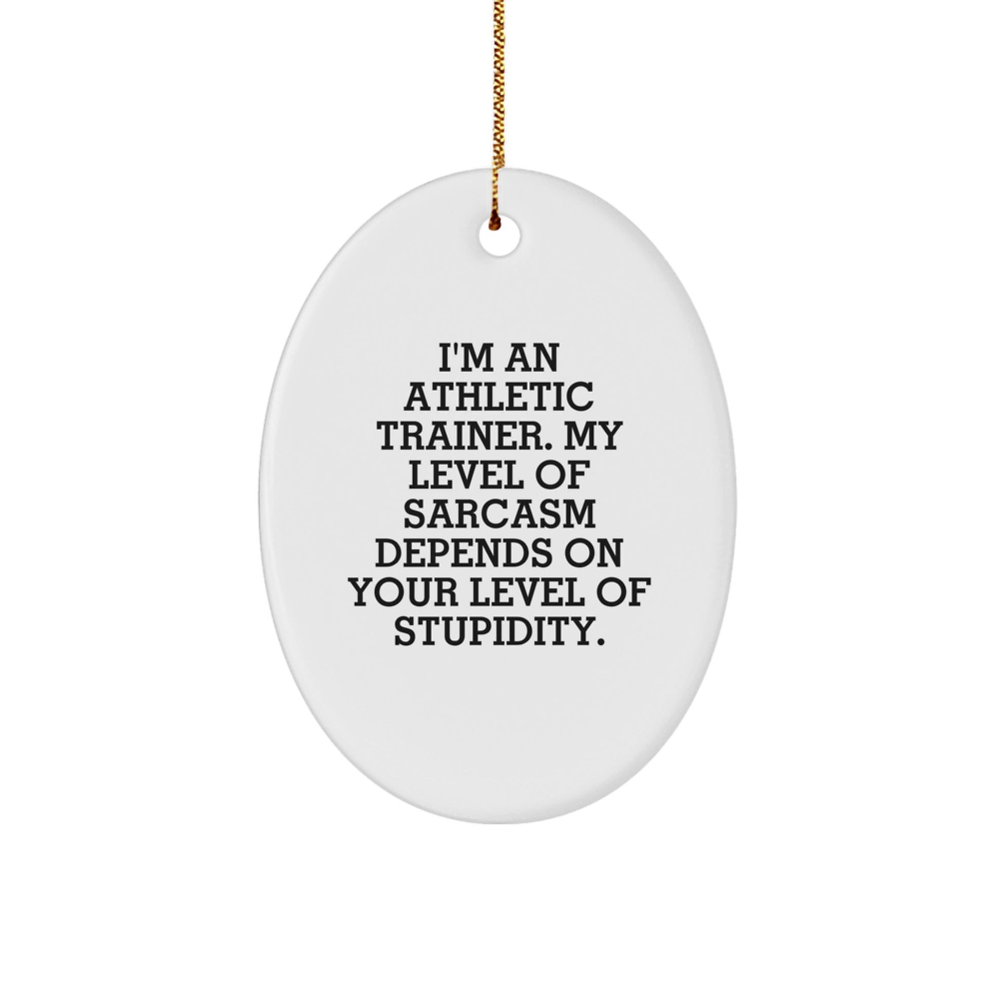 Funny Athletic Trainer Gifts - I'm An Athletic Trainer. My Level Of Sarcasm Depends On Your Level Of Stupidity. Oval Ornament, Gifts from Friends for Athletic Trainer - Image 1