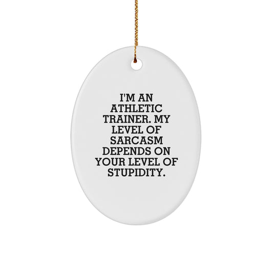 Funny Athletic Trainer Gifts - I'm An Athletic Trainer. My Level Of Sarcasm Depends On Your Level Of Stupidity. Oval Ornament, Gifts from Friends for Athletic Trainer - Image 1
