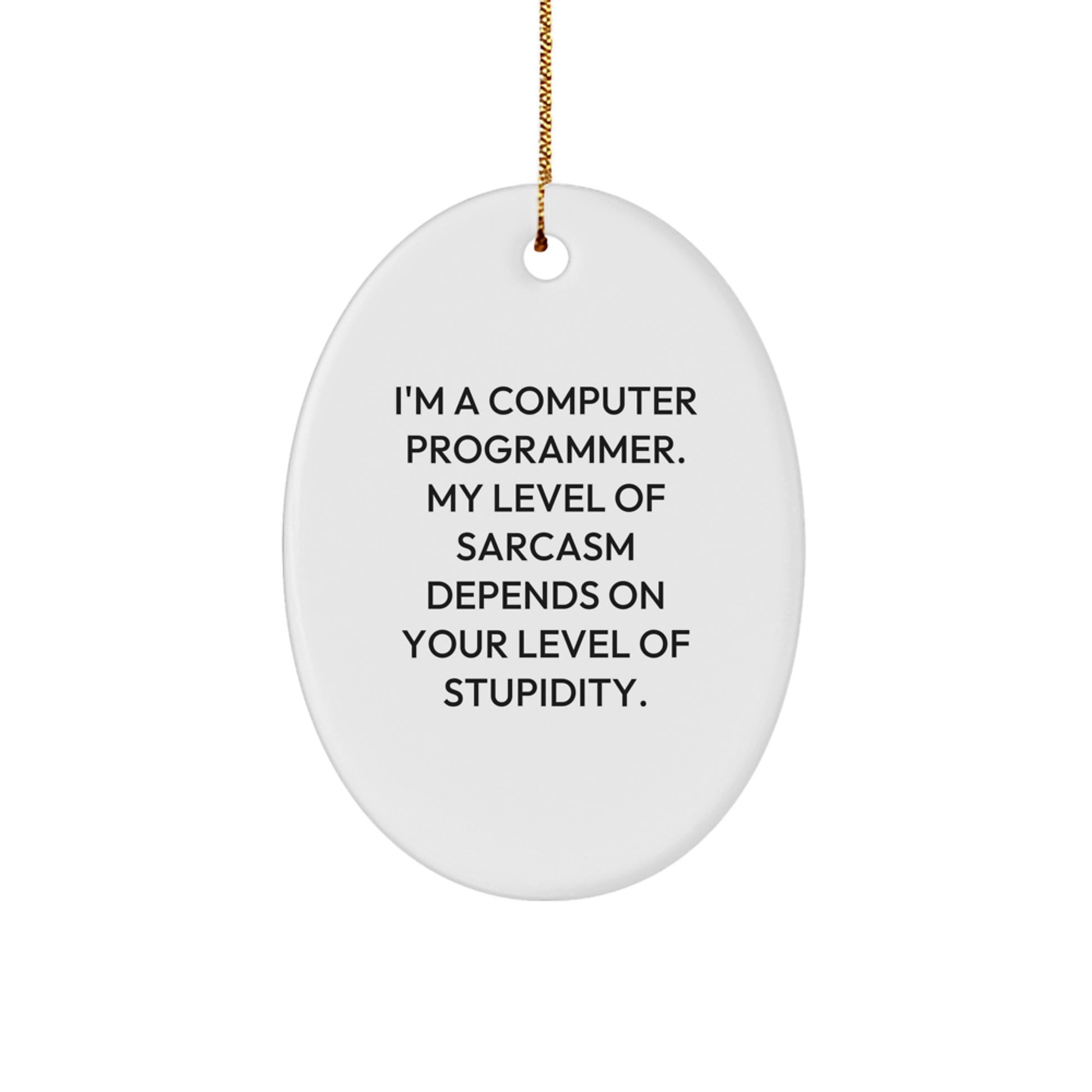 Sarcastic Computer Programmer Oval Ornament, Funny Gift from Men to Friends for Christmas - Image 1