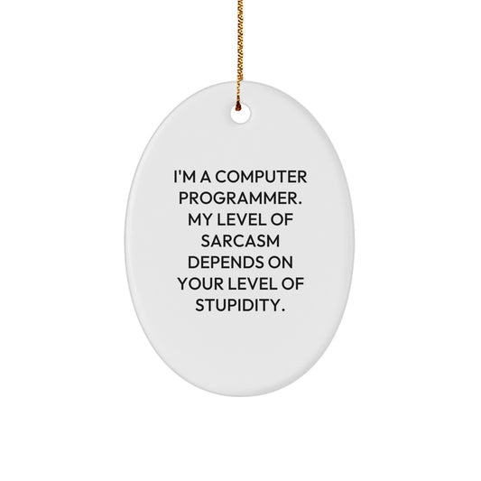 Sarcastic Computer Programmer Oval Ornament, Funny Gift from Men to Friends for Christmas - Image 1