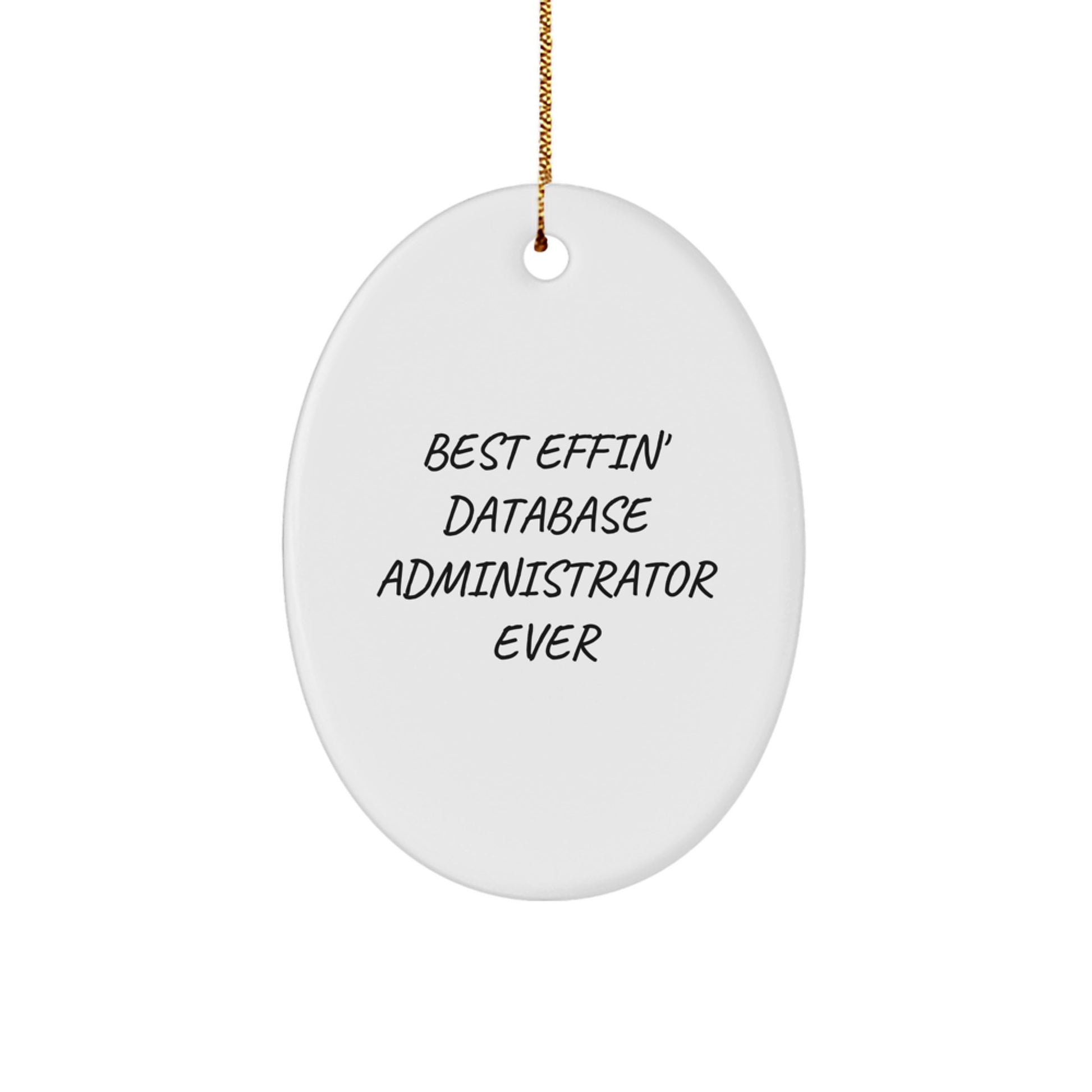 Funny Database Administrator Oval Ornament Gifts from Friends for Christmas Unique Presents - Image 1