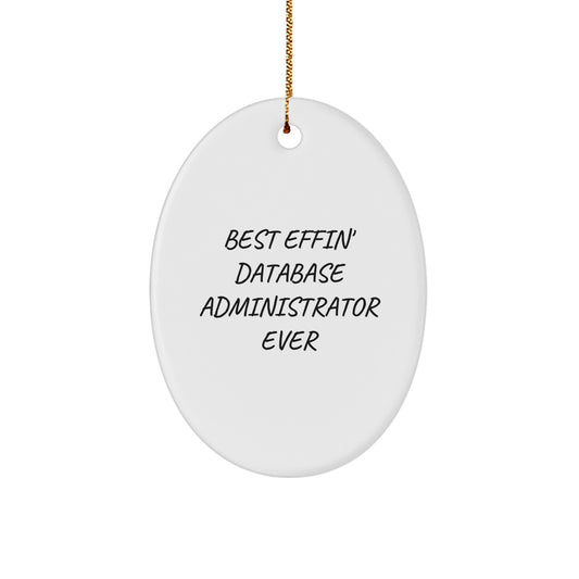 Funny Database Administrator Oval Ornament Gifts from Friends for Christmas Unique Presents - Image 1