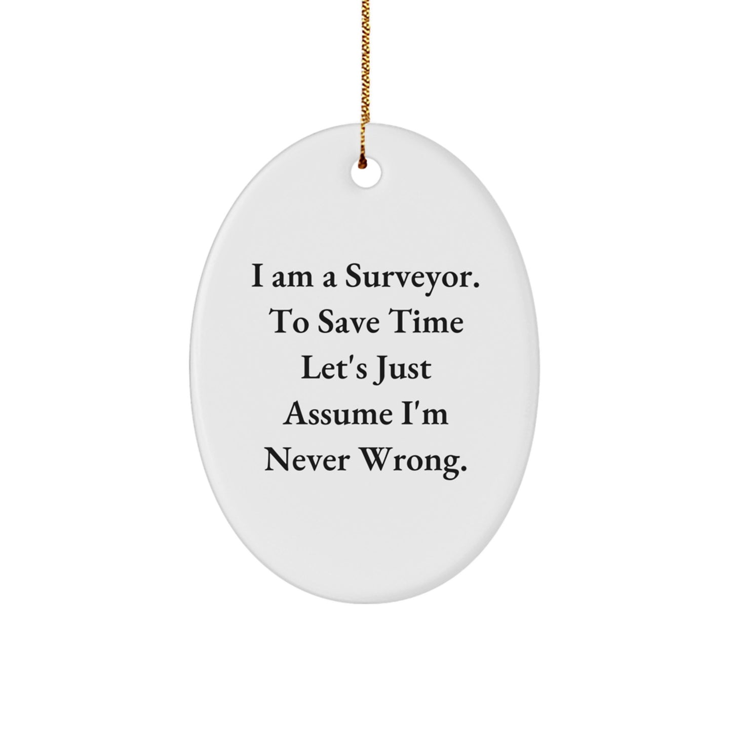 Funny Surveyor Oval Ornament Gifts from Friends for Surveyor Men on Christmas Unique - Image 1