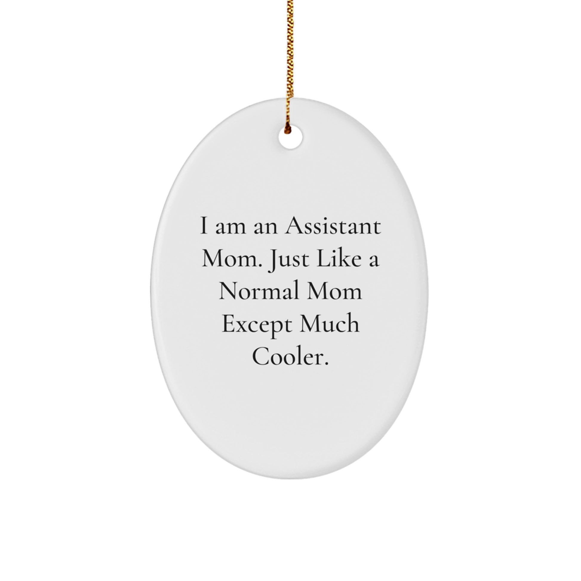 Funny Assistant Mom Oval Ornament Gifts from Friends for Assistant Christmas Unique Gifts - Image 1