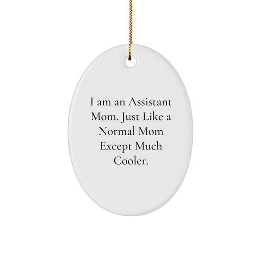 Funny Assistant Mom Oval Ornament Gifts from Friends for Assistant Christmas Unique Gifts - Image 1