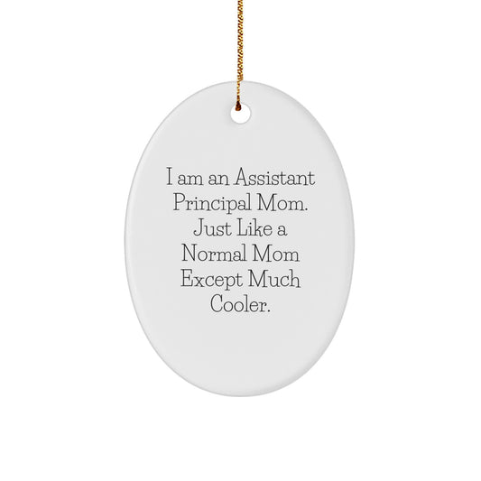 Funny Assistant Principal Mom Gifts for Assistant Principal Mom - Oval Ornament Gift from Friends - Christmas Unique Gifts for Assistant Principal - Image 1