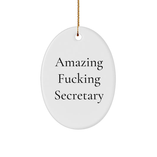 Funny Secretary Oval Ornament Gifts for Secretary from Friends, Amazing F--king Secretary Christmas Unique Gifts, Oval Ornament Secretary Decorations - Image 1
