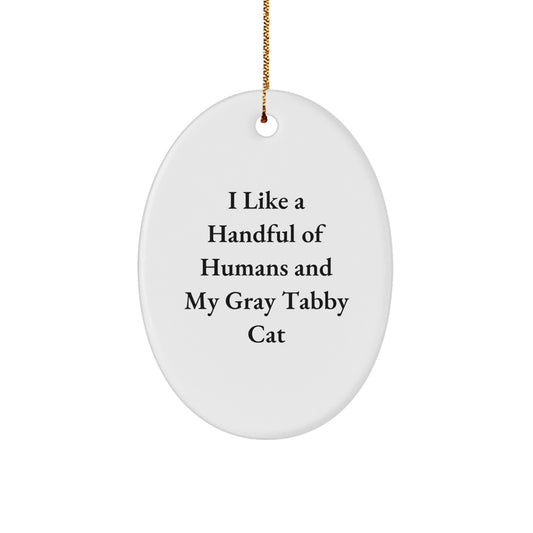 Funny Gray Tabby Cat Gifts for Women - Oval Ornament with 'I Like A Handful Of Humans And My Gray Tabby Cat' Quote - Christmas Unique Gifts from Friends - Gift for Cat Lover - Image 1