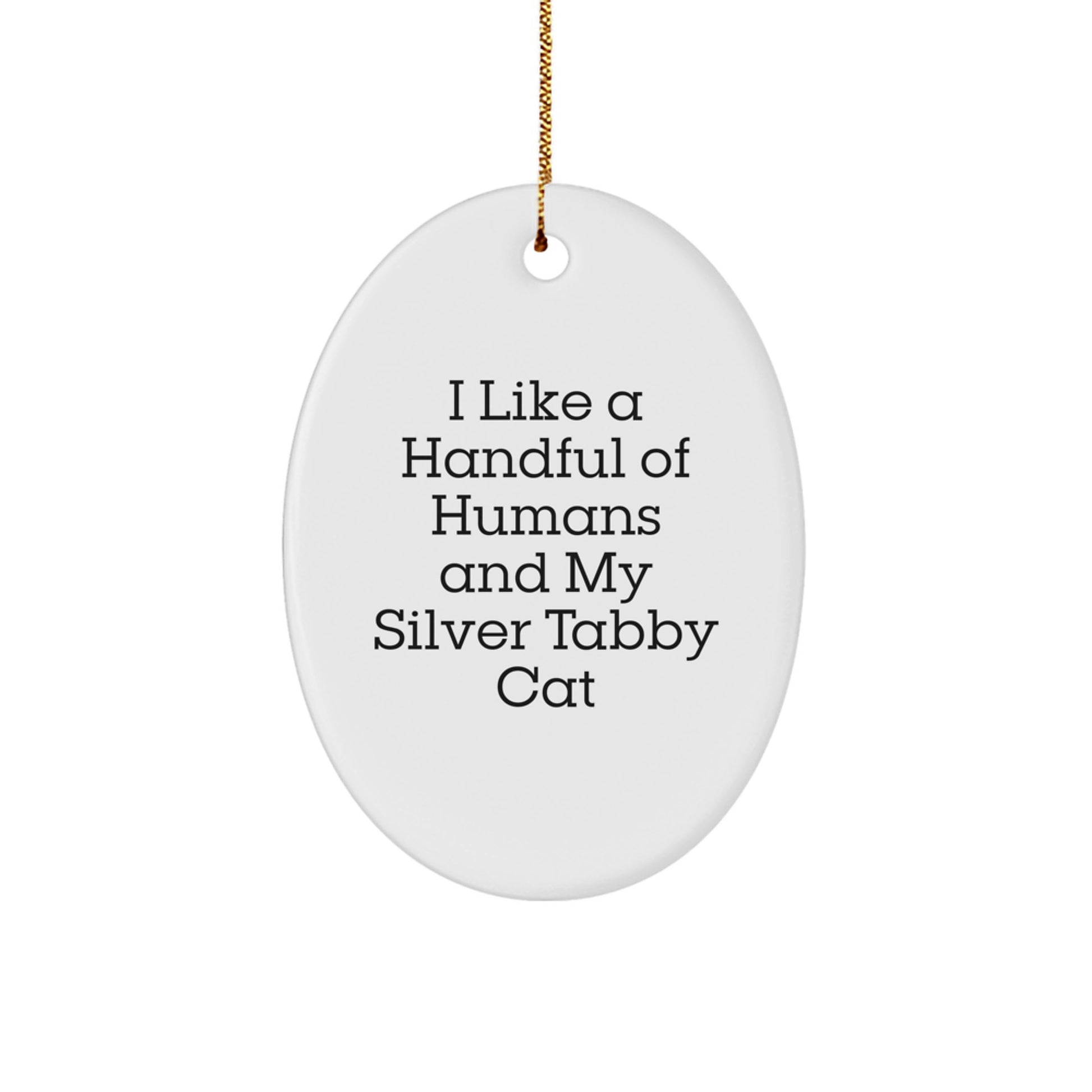 Silver Tabby Cat Oval Ornament Funny Quote for Christmas Unique Gifts from Family Friends - Image 1