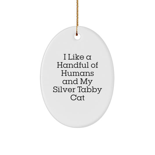 Silver Tabby Cat Oval Ornament Funny Quote for Christmas Unique Gifts from Family Friends - Image 1