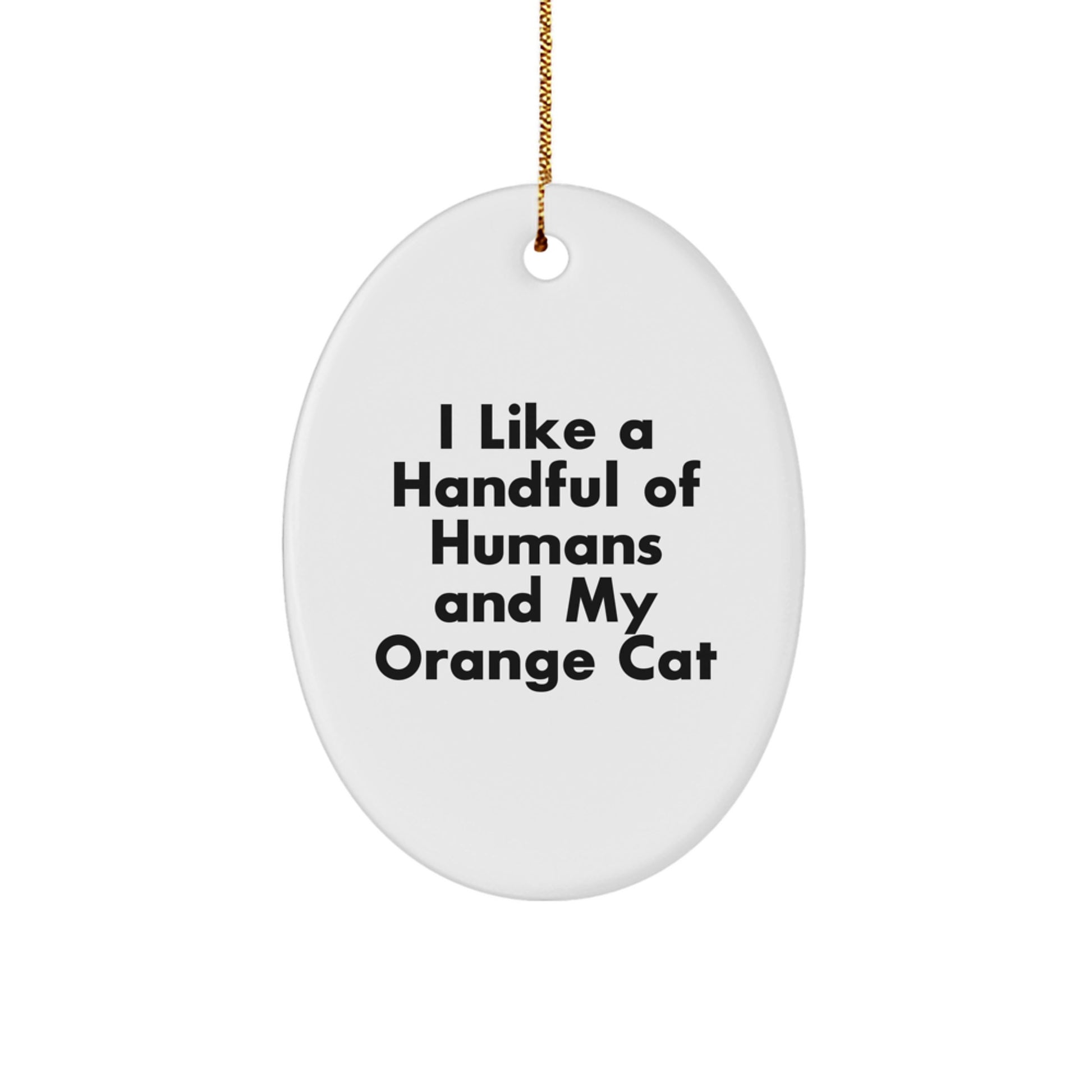 Funny Orange Cat Oval Ornament Gifts for Orange Cat Lovers from Friends and Family - Image 1