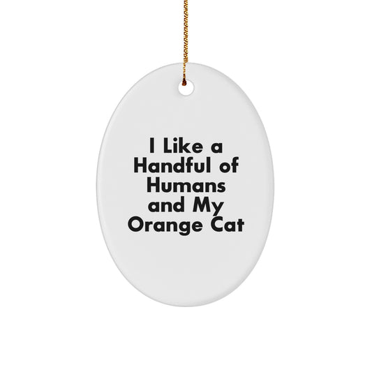 Funny Orange Cat Oval Ornament Gifts for Orange Cat Lovers from Friends and Family - Image 1