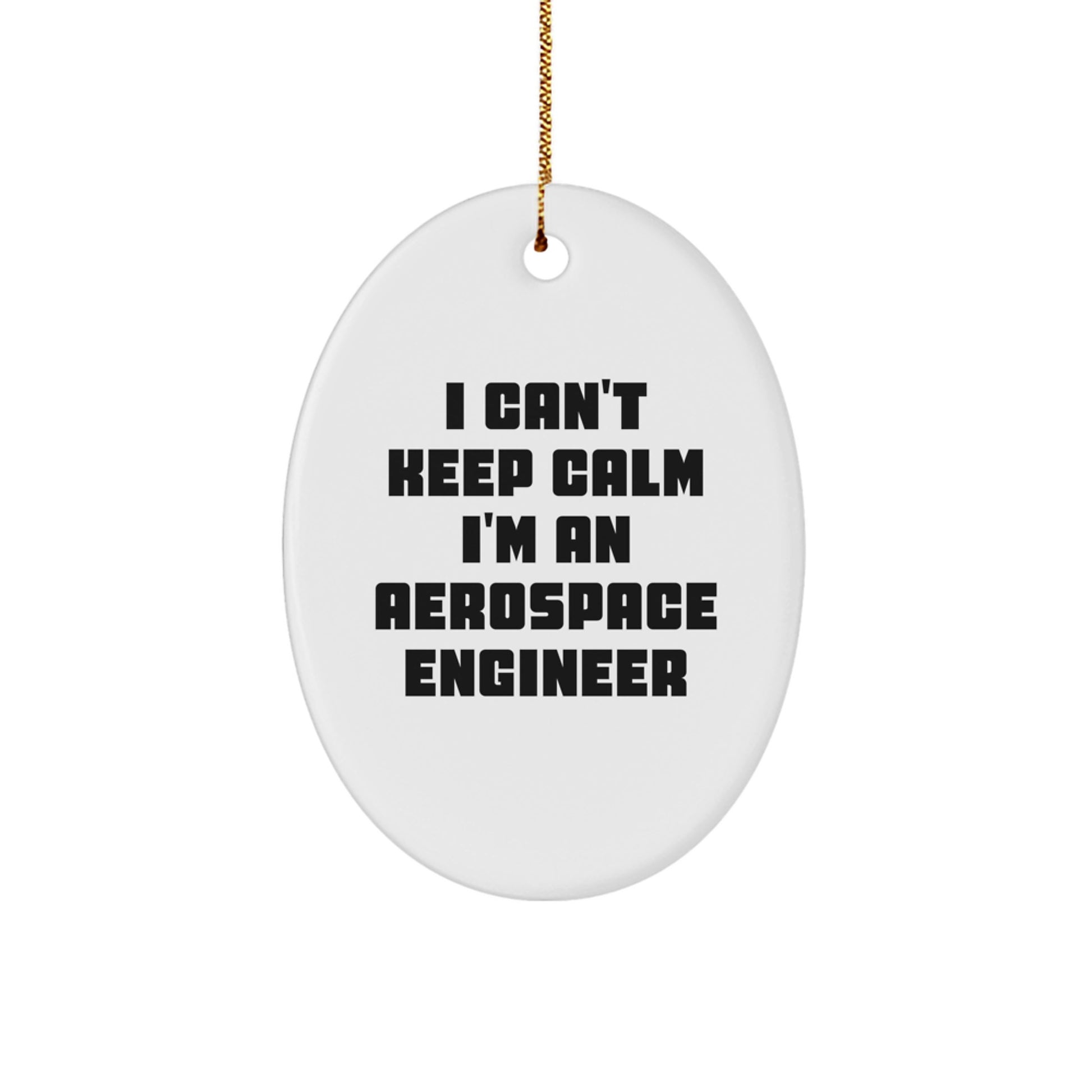 I Can't Keep Calm I'm An Aerospace Engineer Oval Ornament Gifts from Friends and Family for Christmas - Image 1