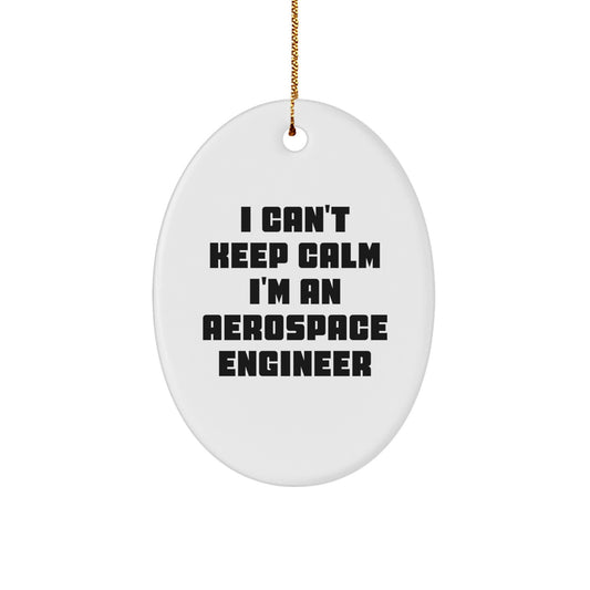 I Can't Keep Calm I'm An Aerospace Engineer Oval Ornament Gifts from Friends and Family for Christmas - Image 1