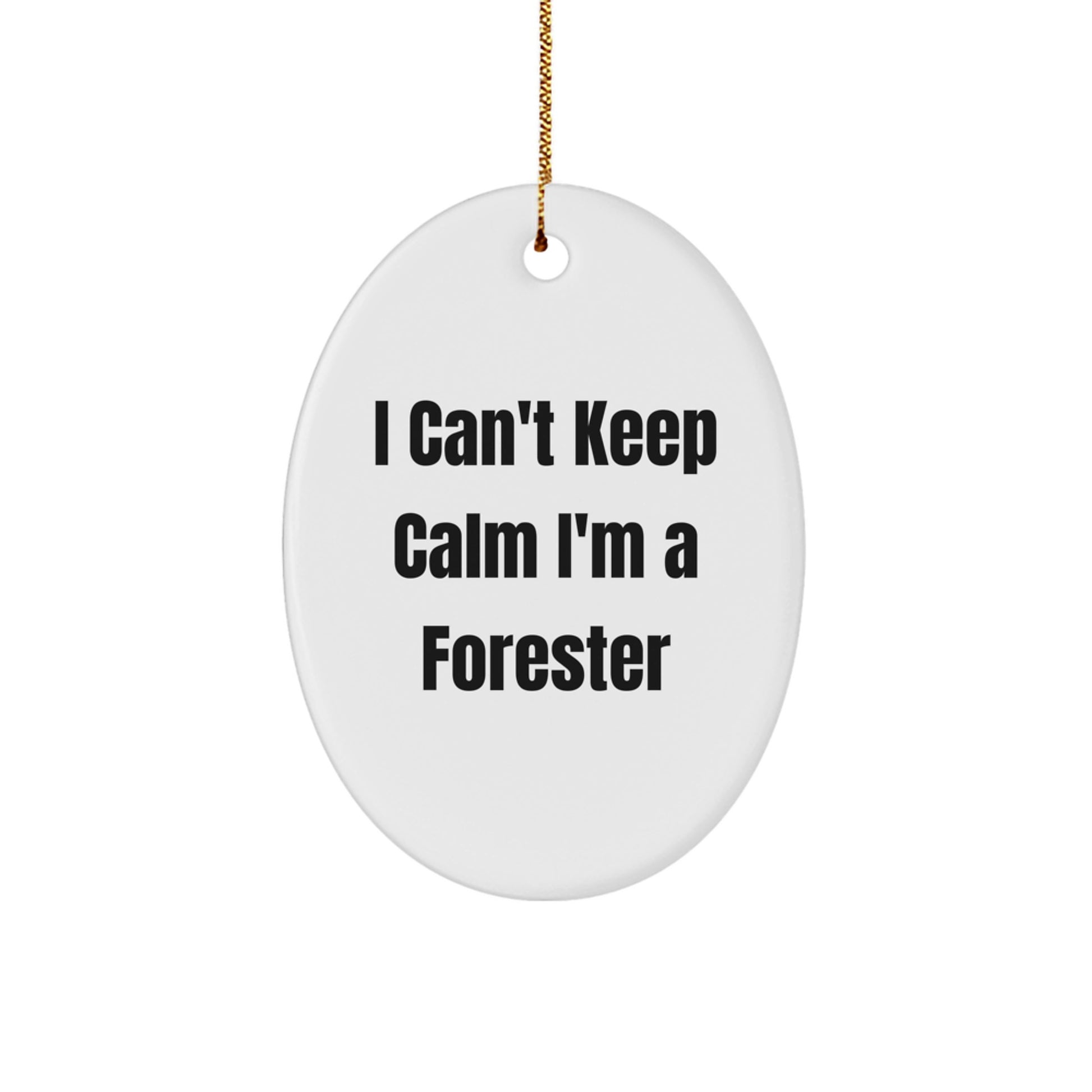 I Can't Keep Calm I'm A Forester Oval Ornament Gifts from Family to Foresters, Funny Forester Christmas Unique Gift - Image 1