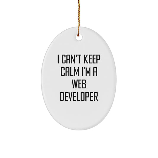 I Can't Keep Calm I'm A Web Developer Oval Ornament Gifts from Family to Friends for Christmas - Image 1
