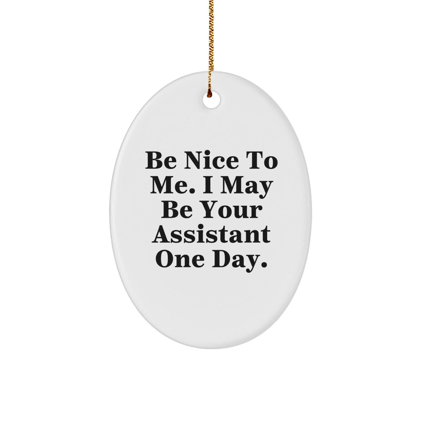 Funny Assistant Oval Ornament Gifts for Coworkers, Friends from Men, Women, Family - Be Nice To Me. I May Be Your Assistant One Day. - Image 1