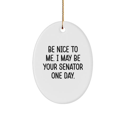 Funny Senator Gifts for Men Women Friends Family - Oval Ornament 'Be Nice To Me. I May Be Your Senator One Day.' - Christmas Unique Presents - Image 1