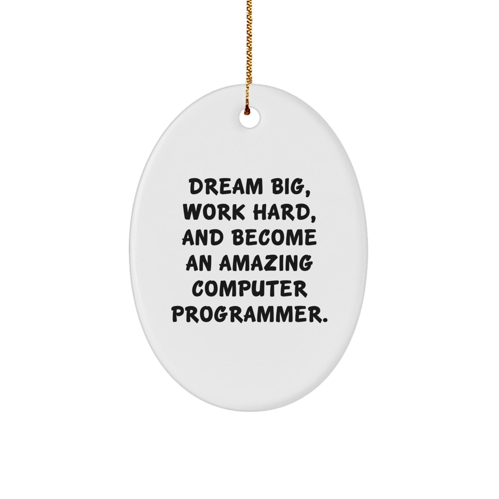Gifts from Family - 'Dream Big, Work Hard, And Become An Amazing Computer Programmer.' Oval Ornament for Computer Programmer, Christmas Unique Gifts - Image 1