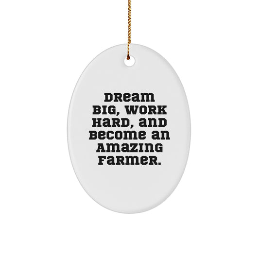 Farmer Gifts from Friends - Dream Big, Work Hard, Oval Ornament for Men - Christmas Unique Presents, Inspirational Quote, Oval Shaped, White Color - Image 1
