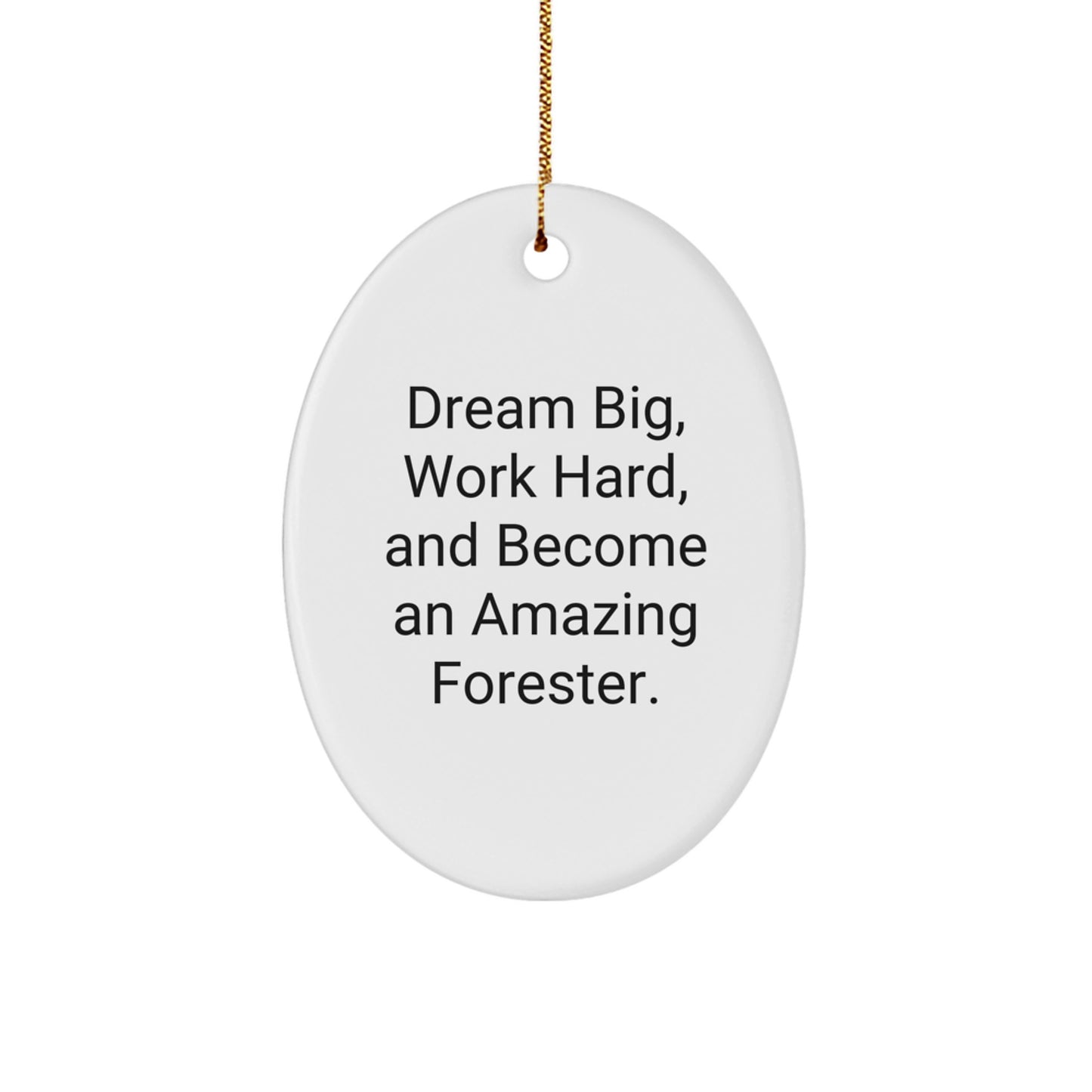Forester Gifts for Men - Dream Big, Work Hard, Oval Ornament with Quote, Christmas Decor - Image 1