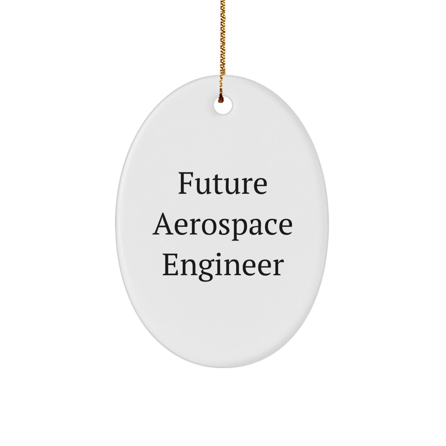 Funny Future Aerospace Engineer Oval Ornament Gifts from Family for Christmas - 'Future Aerospace Engineer' Quote - Image 1