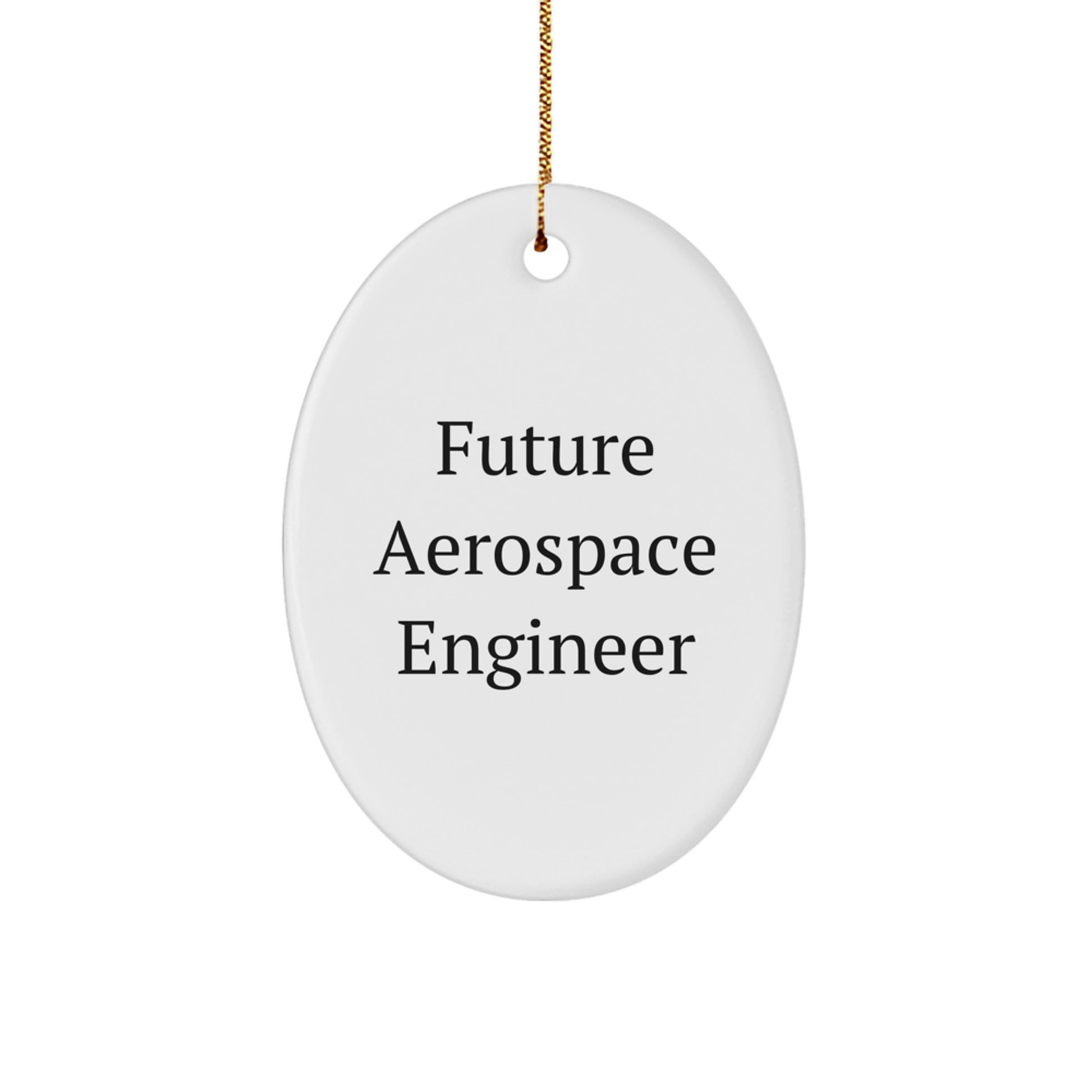 Funny Future Aerospace Engineer Oval Ornament Gifts from Family for Christmas - 'Future Aerospace Engineer' Quote - Image 1