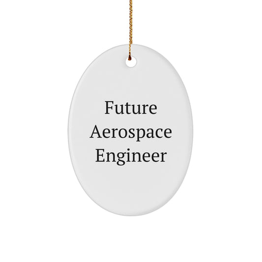 Funny Future Aerospace Engineer Oval Ornament Gifts from Family for Christmas - 'Future Aerospace Engineer' Quote - Image 1