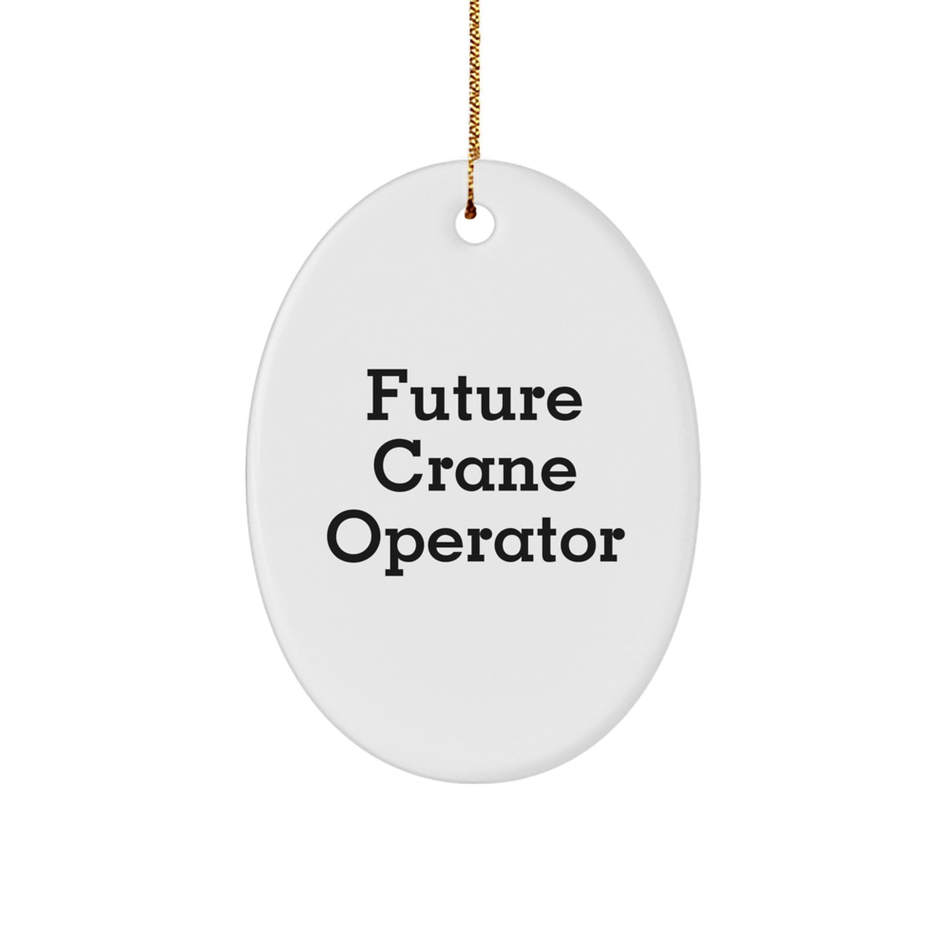 Funny Future Crane Operator Gifts, Crane Operator Oval Ornament, Inspirational Quote, Christmas Unique Gifts from Friends, for Crane Operator, Men, Women, Coworkers, Family - Image 1